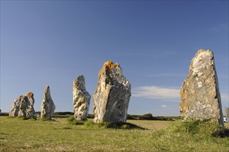 France, Brittany, Lagatjar, Alignment de Lagatjar standing stones near Cameret-sur-Mer. Photo : Bob