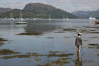 Scotland, Ross & Cromarty, Plockton, Young boy wading with fishing net in Loch Carron. Photo : Sean