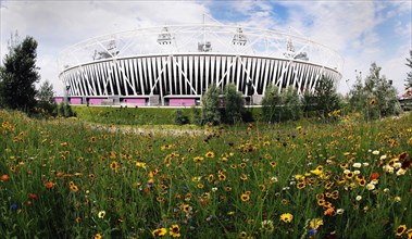 England, London, Stratford Olympic Stadium Naturalistic meadow planting using per-annual plants