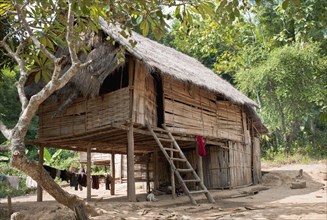 Laos, Mekong, Bamboo Hut in Village next to the Mekong River. 
Photo Richard Rickard / Eye