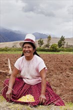 Peru, Chinchero, Peruvian female farmer showing the corn that she is planting. 
Photo Richard