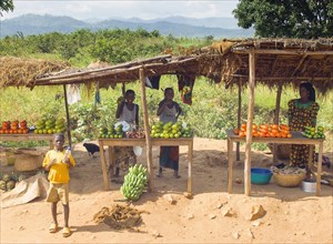 Burundi, Cibitoke Province, Buganda, Market stall selling vegetables beside the road. . 
Photo Nic