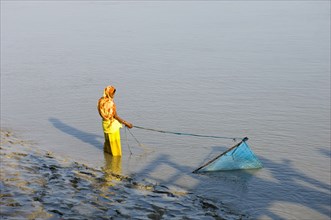 Bangladesh, Khulna Division, Shyamnagar, Woman trawling for shrimp fry with scoop net in the