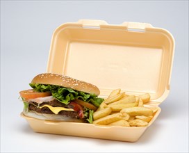 Food, Cooked, Meat, Double cheesburger with salad and tomato ketchup in a bun with potato chips inside a polystyrene foam box on a white background.