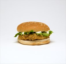 Food, Cooked, Poultry; Chicken breast fillet burger with lettuce and mayonaise in a bun on a white background.