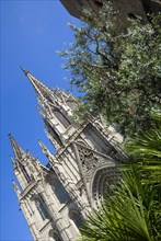 Spain, Catalonia, Barcelona, Cathedral.