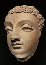 Head of Buddha. Gandharan Region, Pakistan, 3rd century A.D.