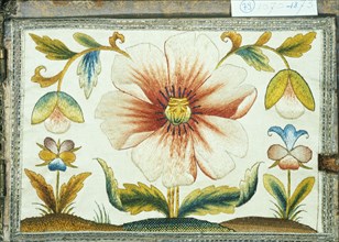 Marigold and poppy flowers from an embroidered boxSilk embroideryBritain; Third quarter 17th Century