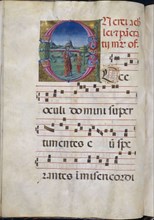 Folio 79 verso from a Dominican Gradual - Rotunda Specimen