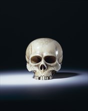 "Netsuke; -  a skull; carved ivory; Japanese; 19th century."
