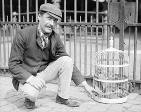 Dog Market - Dog in Bird Cage, photo by Andrew Pitcairn-Knowles. Brussels c.1900