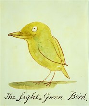 Lear, The Light Green Bird