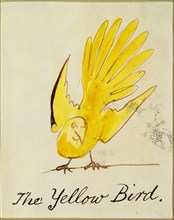 Lear, The Yellow Bird