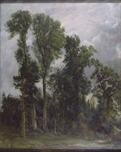 Constable, Trees at Hampstead