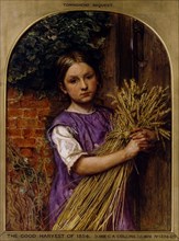 Collins, La grande récolte de 1854