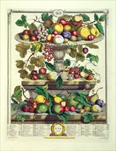 Furber, June, from The Twelve Months of Fruits