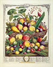 Furber, July, from The Twelve Months of Fruits