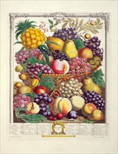 Furber, October, from The Twelve Months of Fruits