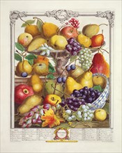 Furber, Les douze mois des Fruits : Novembre