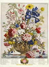Furber, June, from The Twelve Months of Flowers