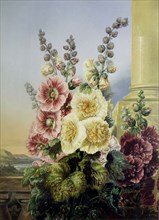 Bartholomew, Roses trémières