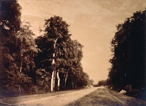 Landscape, photo Gustave Le Gray. France, 19th century