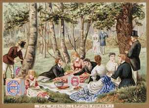 The Picnic at Epping Forest. England, 1880-089
