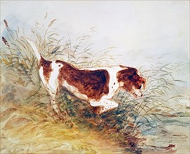 Dog Watching a Rat in the Water at Dedham, by John Constable. Dedham, England, 1831