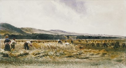 Harvest Field, by Peter de Wint. England, 19th century