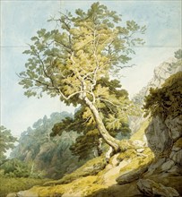 View near Camonteign, Devon, by John White Abbott. England, 1803