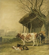 Alderney Cows and Calves, by Robert Hills. Britain, 1820