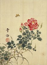 Wild Red Rose Buds, Butterfly and Foliage, by Sekkisai. Japan, 19th century