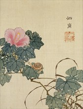 Snail, Pink Flower and Foliage, by Shasai. Japan, 19th century