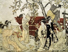 A Man and Six Women Gathering Persimmons, by Kitagawa Utamaro. Japan, 18th century