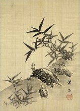 Tortoises and Bamboo, by Siuseki. Japan, 19th century