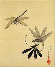Dragonflies. Japan, 19th century
