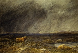 The Challenge: A Bull in a Storm on the Moor, by David Cox. England, mid-19th century