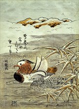 A Pair of Mandarin Ducks in SNw, by Isoda Koryusai. Japan, 18th century