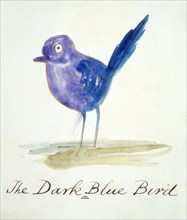 The Dark Blue Bird, by Edward Lear. England, 19th century