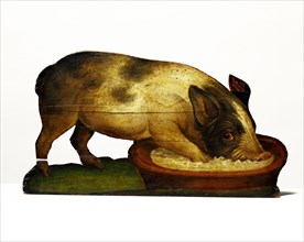 Pig feeding. England, 18th century