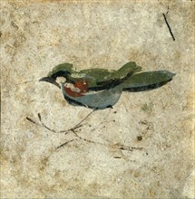 Bird, detail. Pozzuoli, Italy, 1st century AD