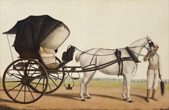 Carriage with Groom, by Shaikh Muhammad Amir. Calcutta, India, mid-19th century. 
Londres,