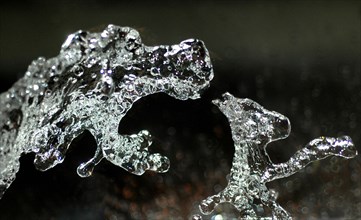 Jet d'eau figé montrant un lion fondant sur sa proie