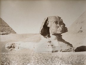 Le Gray Gustave, Egypte, Sphinx du plateau de Gizeh