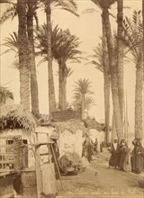 Village arabe au bord du Nil (Egypte)