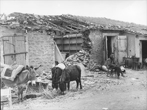 A village in ruins during the war in Algeria (1956)