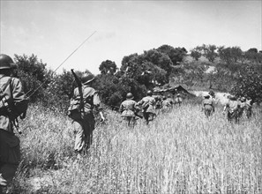 Opérations militaires pendant la Guerre d'Algérie
(1956)