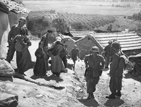 Opérations militaires en Grande Kabylie (1956)