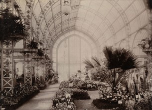 Paris. Exposition Universelle de 1900. La grande serre de la Ville de Paris.