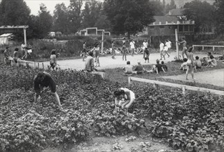 The workers' gardens, 1941